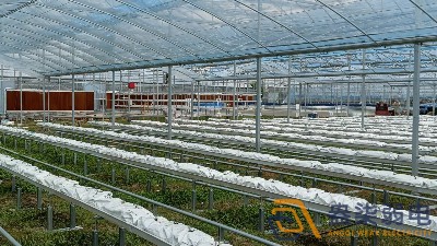 智能溫室大棚讓農業生產準確有效